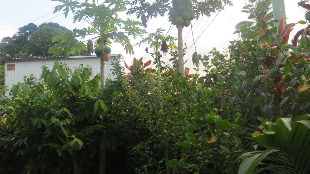 Dayspring Lodge Nuku'alofa Eksteriør billede
