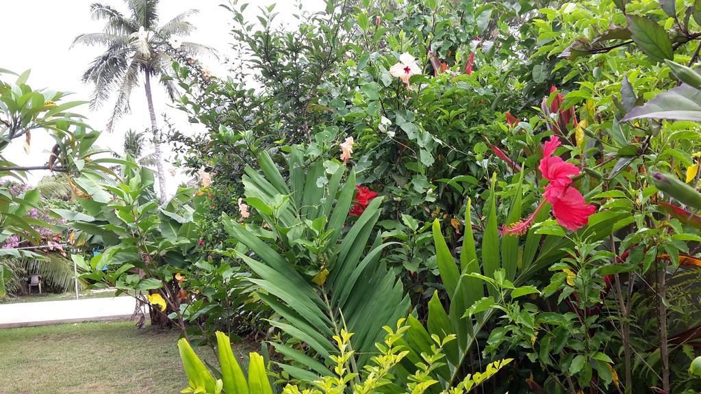 Dayspring Lodge Nuku'alofa Eksteriør billede