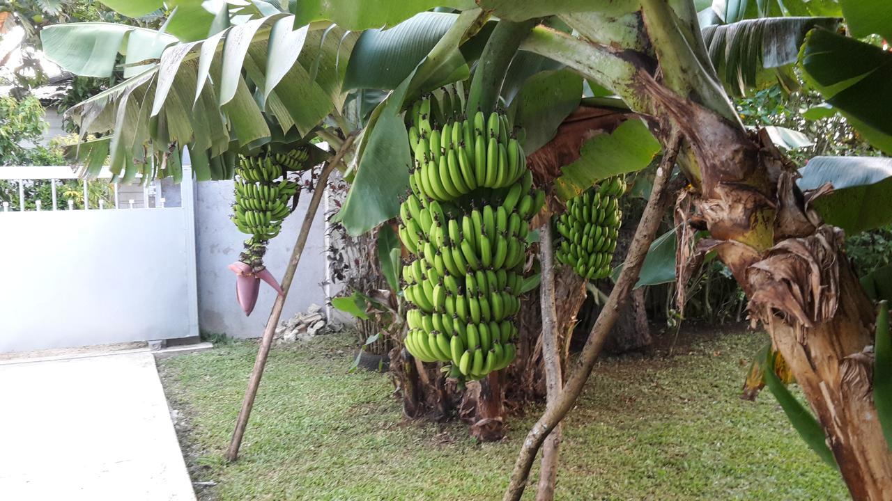 Dayspring Lodge Nuku'alofa Eksteriør billede