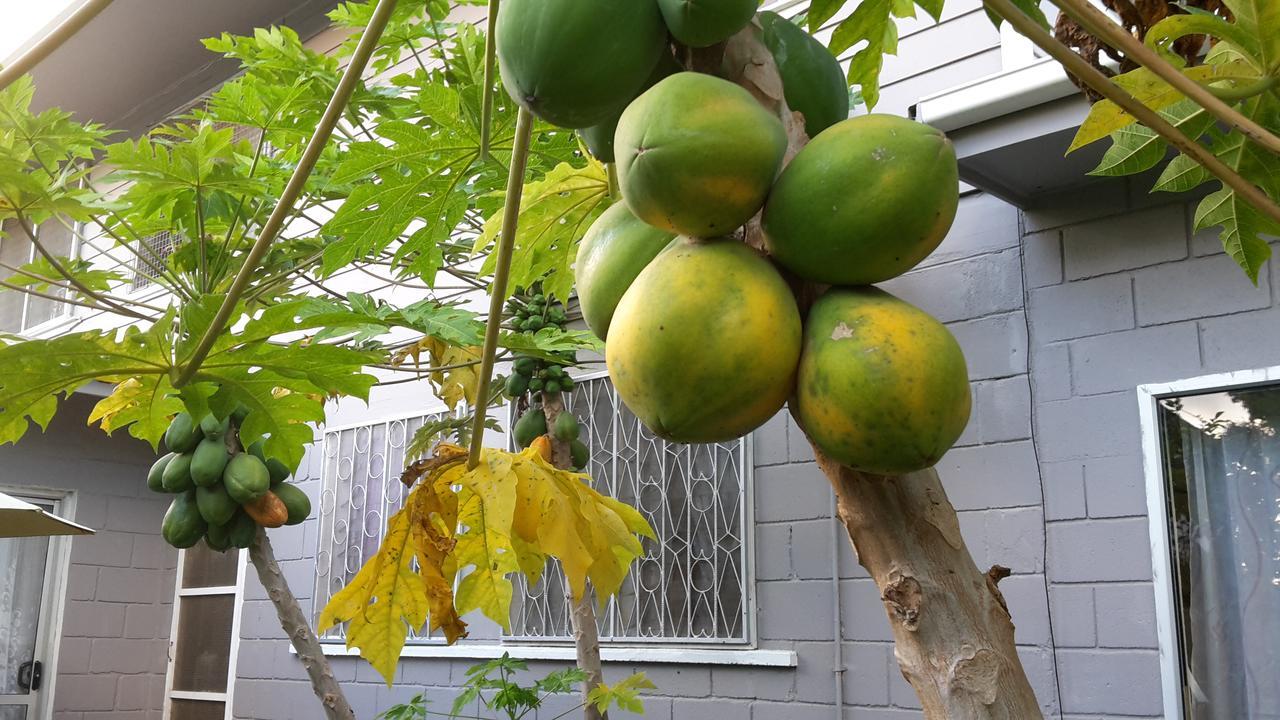 Dayspring Lodge Nuku'alofa Eksteriør billede